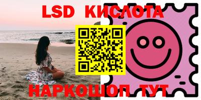 стафф Ярославль