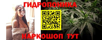 прущая мука Шебекино